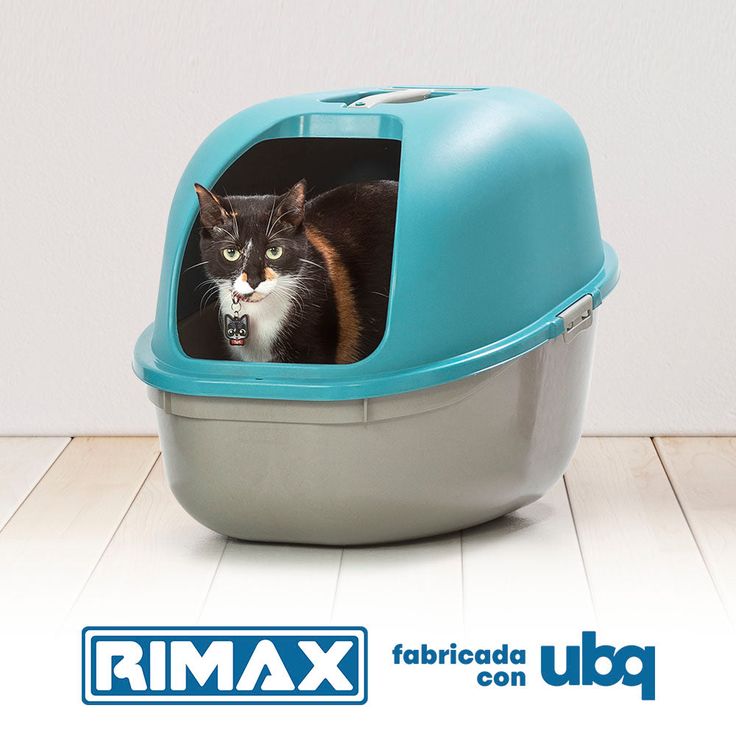 ARENERO PARA GATOS