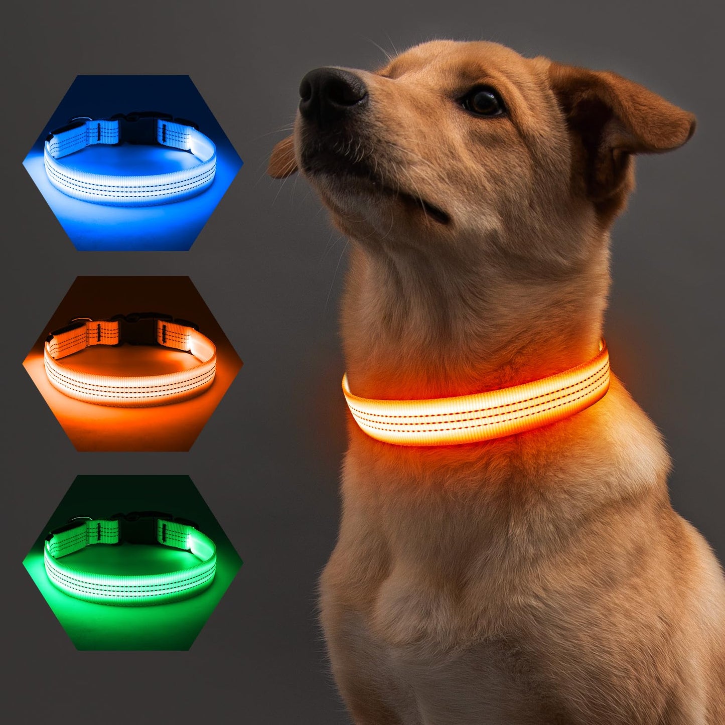 COLLAR LED PARA TU MASCOTA