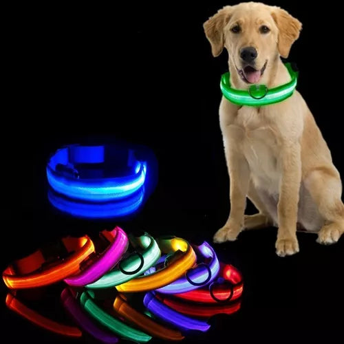 COLLAR LED PARA TU MASCOTA