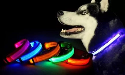 COLLAR LED PARA TU MASCOTA