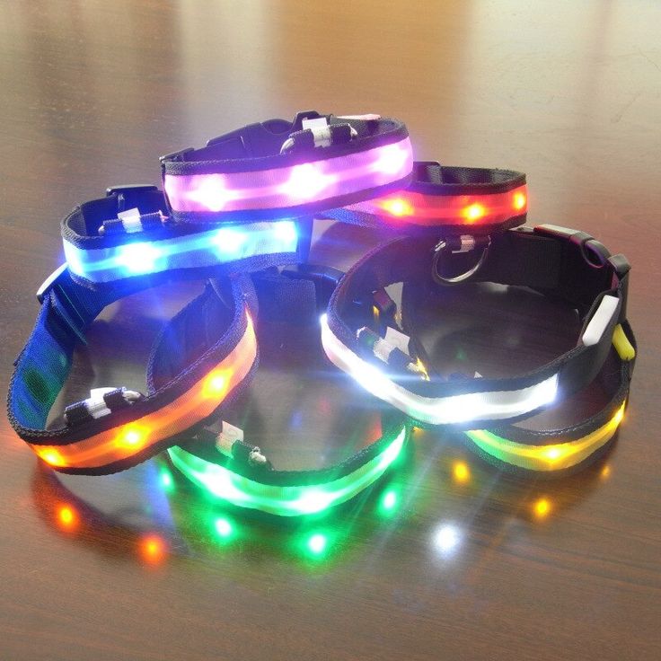 COLLAR LED PARA TU MASCOTA